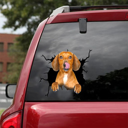 Dachshund Dog Breeds Dogs Puppy Crack Window Decal Custom 3d Car Decal Vinyl Aesthetic Decal Funny Stickers Home Decor Gift Ideas Car Vinyl Decal Sticker Window Decals, Peel and Stick Wall Decals 18x18IN 2PCS