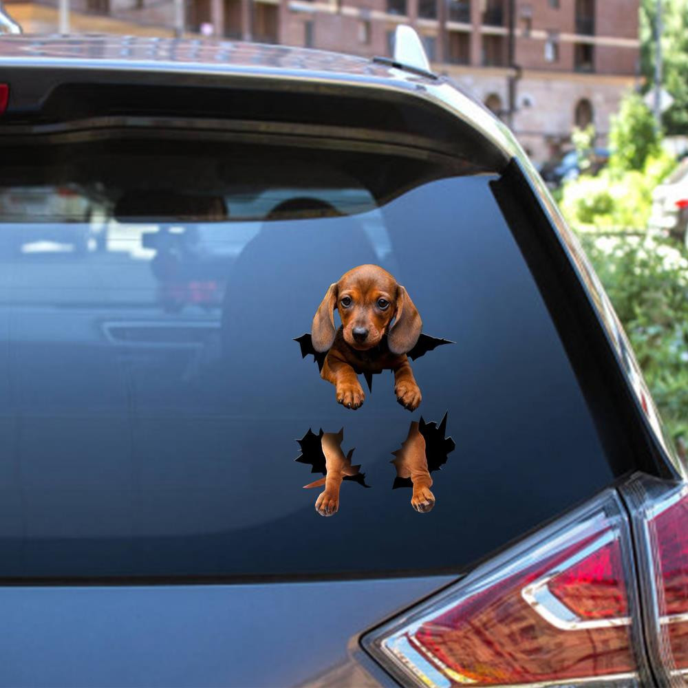 Dachshund Dog Decal Crack Sticker Kawaii Cute A Face Stickers Gift Store Car Vinyl Decal Sticker Window Decals, Peel and Stick Wall Decals 12x12IN 2PCS