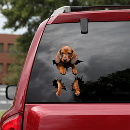 Dachshund Dog Decal Crack Sticker Kawaii Cute A Face Stickers Gift Store Car Vinyl Decal Sticker Window Decals, Peel and Stick Wall Decals 18x18IN 2PCS
