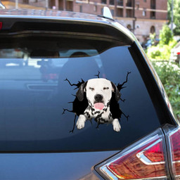 Dalmatians Crack Window Decal Custom 3d Car Decal Vinyl Aesthetic Decal Funny Stickers Home Decor Gift Ideas Car Vinyl Decal Sticker Window Decals, Peel and Stick Wall Decals 12x12IN 2PCS