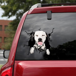 Dalmatians Crack Window Decal Custom 3d Car Decal Vinyl Aesthetic Decal Funny Stickers Home Decor Gift Ideas Car Vinyl Decal Sticker Window Decals, Peel and Stick Wall Decals 18x18IN 2PCS