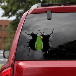 Eclectus Parrot Crack Window Decal Custom 3d Car Decal Vinyl Aesthetic Decal Funny Stickers Cute Gift Ideas Ae10457 Car Vinyl Decal Sticker Window Decals, Peel and Stick Wall Decals 18x18IN 2PCS