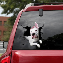 Dogo Argentino Crack Window Decal Custom 3d Car Decal Vinyl Aesthetic Decal Funny Stickers Cute Gift Ideas Ae10440 Car Vinyl Decal Sticker Window Decals, Peel and Stick Wall Decals 18x18IN 2PCS