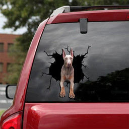 Dobermann Crack Window Decal Custom 3d Car Decal Vinyl Aesthetic Decal Funny Stickers Home Decor Gift Ideas Car Vinyl Decal Sticker Window Decals, Peel and Stick Wall Decals 18x18IN 2PCS