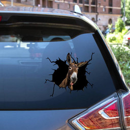 Donkey Vinyl Car Car Funny Memes Window Vinyl Car S For Business Gifts For Friends.Png Car Vinyl Decal Sticker Window Decals, Peel and Stick Wall Decals 12x12IN 2PCS