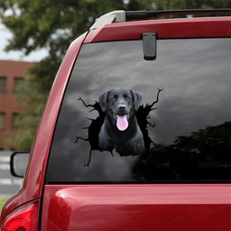 Funny Labrador Dog Crack Decal Sticker Funny For Men Car Vinyl Decal Sticker Window Decals, Peel and Stick Wall Decals 18x18IN 2PCS