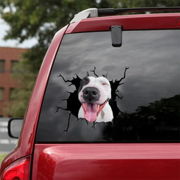 Funny Pitbull Dog Breeds Dogs Puppy Crack Window Decal Custom 3d Car Decal Vinyl Aesthetic Decal Funny Stickers Home Decor Gift Ideas Car Vinyl Decal Sticker Window Decals, Peel and Stick Wall Decals 18x18IN 2PCS