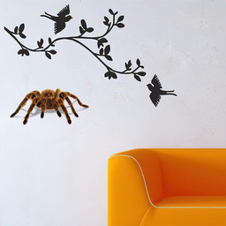 Giant Spider 3d Crack Window Decal Custom 3d Car Decal Vinyl Aesthetic Decal Funny Stickers Home Decor Gift Ideas Car Vinyl Decal Sticker Window Decals, Peel and Stick Wall Decals
