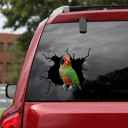 Gold Cap Conure Crack Window Decal Custom 3d Car Decal Vinyl Aesthetic Decal Funny Stickers Home Decor Gift Ideas Car Vinyl Decal Sticker Window Decals, Peel and Stick Wall Decals 18x18IN 2PCS