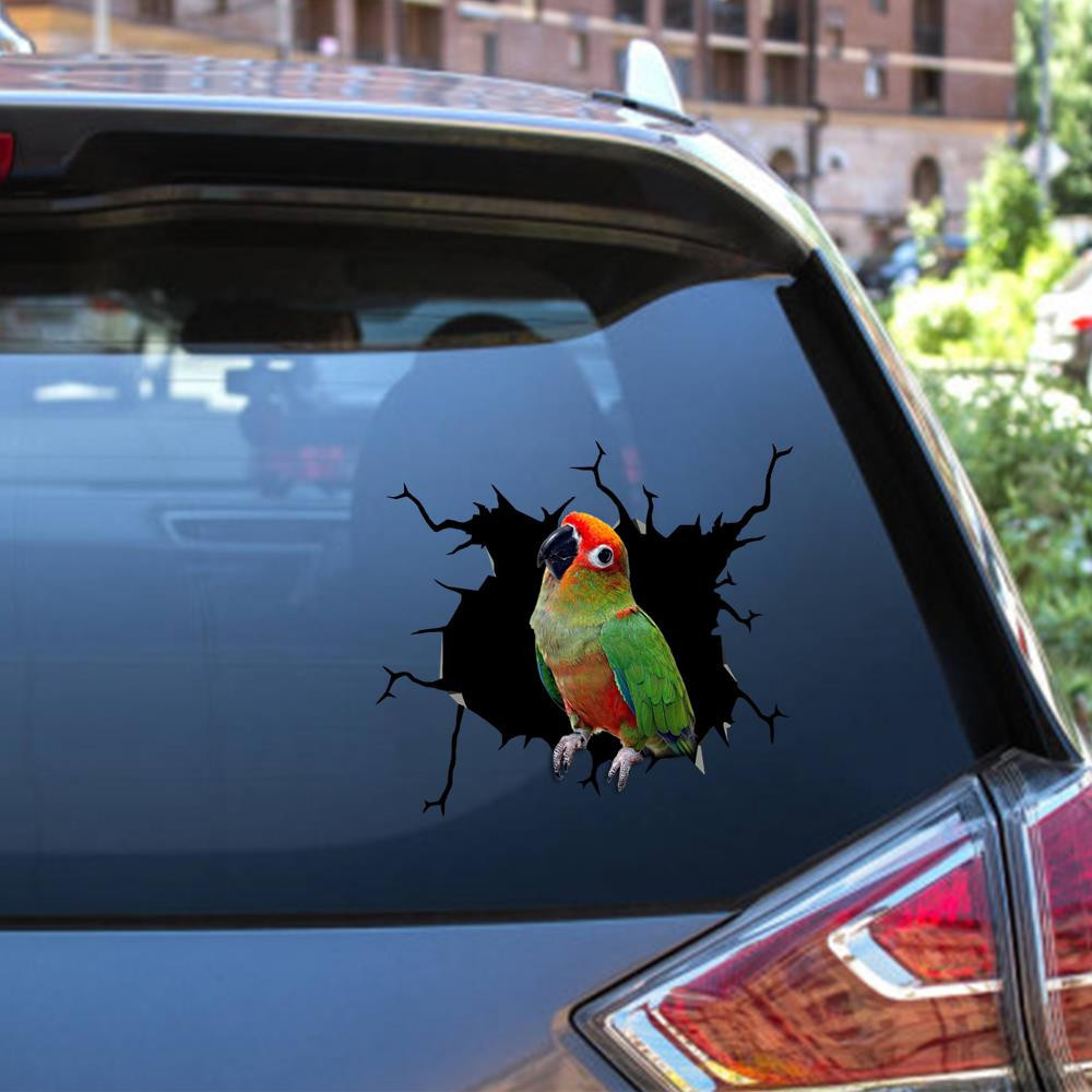 Gold Cap Conure Crack Window Decal Custom 3d Car Decal Vinyl Aesthetic Decal Funny Stickers Home Decor Gift Ideas Car Vinyl Decal Sticker Window Decals, Peel and Stick Wall Decals 12x12IN 2PCS
