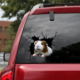 Guinea Pig Crack Window Decal Custom 3d Car Decal Vinyl Aesthetic Decal Funny Stickers Home Decor Gift Ideas Car Vinyl Decal Sticker Window Decals, Peel and Stick Wall Decals 18x18IN 2PCS