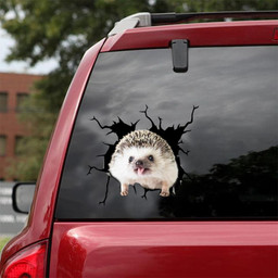 Hedgehog Crack Window Decal Custom 3d Car Decal Vinyl Aesthetic Decal Funny Stickers Home Decor Gift Ideas Car Vinyl Decal Sticker Window Decals, Peel and Stick Wall Decals 18x18IN 2PCS
