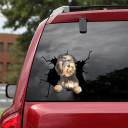 Havanese Crack Window Decal Custom 3d Car Decal Vinyl Aesthetic Decal Funny Stickers Home Decor Gift Ideas Car Vinyl Decal Sticker Window Decals, Peel and Stick Wall Decals 18x18IN 2PCS