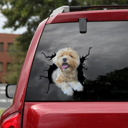 Havanese Crack Window Decal Custom 3d Car Decal Vinyl Aesthetic Decal Funny Stickers Cute Gift Ideas Ae10646 Car Vinyl Decal Sticker Window Decals, Peel and Stick Wall Decals 18x18IN 2PCS