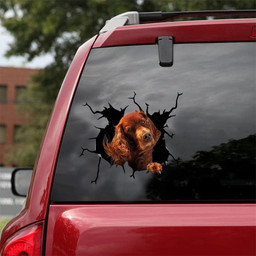 Irish Setters Crack Window Decal Custom 3d Car Decal Vinyl Aesthetic Decal Funny Stickers Home Decor Gift Ideas Car Vinyl Decal Sticker Window Decals, Peel and Stick Wall Decals 18x18IN 2PCS