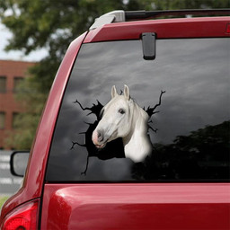 Lipizzaner Horse Crack Window Decal Custom 3d Car Decal Vinyl Aesthetic Decal Funny Stickers Home Decor Gift Ideas Car Vinyl Decal Sticker Window Decals, Peel and Stick Wall Decals 18x18IN 2PCS