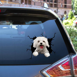 Maltese Crack Window Decal Custom 3d Car Decal Vinyl Aesthetic Decal Funny Stickers Cute Gift Ideas Ae10774 Car Vinyl Decal Sticker Window Decals, Peel and Stick Wall Decals 12x12IN 2PCS