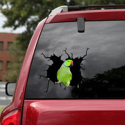Male Green Indian Ringneck Crack Window Decal Custom 3d Car Decal Vinyl Aesthetic Decal Funny Stickers Home Decor Gift Ideas Car Vinyl Decal Sticker Window Decals, Peel and Stick Wall Decals 18x18IN 2PCS