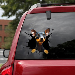 Mini Pinscher Crack Window Decal Custom 3d Car Decal Vinyl Aesthetic Decal Funny Stickers Cute Gift Ideas Ae10785 Car Vinyl Decal Sticker Window Decals, Peel and Stick Wall Decals 18x18IN 2PCS
