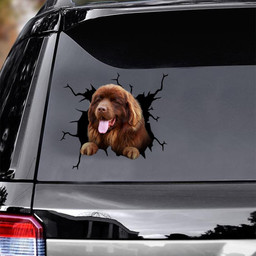 Newfoundland Crack Window Decal Custom 3d Car Decal Vinyl Aesthetic Decal Funny Stickers Cute Gift Ideas Ae10804 Car Vinyl Decal Sticker Window Decals, Peel and Stick Wall Decals