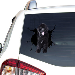 Newfoundland Crack Window Decal Custom 3d Car Decal Vinyl Aesthetic Decal Funny Stickers Home Decor Gift Ideas Car Vinyl Decal Sticker Window Decals, Peel and Stick Wall Decals