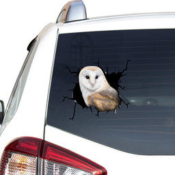 Owl Crack Window Decal Custom 3d Car Decal Vinyl Aesthetic Decal Funny Stickers Cute Gift Ideas Ae10836 Car Vinyl Decal Sticker Window Decals, Peel and Stick Wall Decals