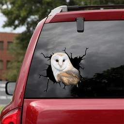 Owl Crack Window Decal Custom 3d Car Decal Vinyl Aesthetic Decal Funny Stickers Cute Gift Ideas Ae10836 Car Vinyl Decal Sticker Window Decals, Peel and Stick Wall Decals 18x18IN 2PCS