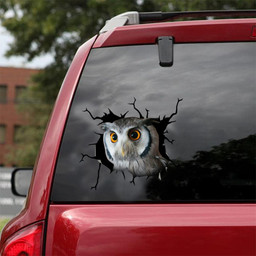 Owl Crack Window Decal Custom 3d Car Decal Vinyl Aesthetic Decal Funny Stickers Cute Gift Ideas Ae10837 Car Vinyl Decal Sticker Window Decals, Peel and Stick Wall Decals 18x18IN 2PCS