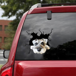 Miniature Schnauzer Crack Window Decal Custom 3d Car Decal Vinyl Aesthetic Decal Funny Stickers Cute Gift Ideas Ae10791 Car Vinyl Decal Sticker Window Decals, Peel and Stick Wall Decals 18x18IN 2PCS