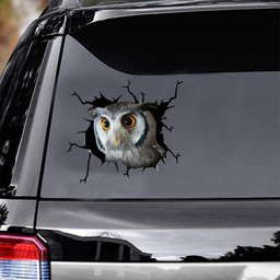 Owl Crack Window Decal Custom 3d Car Decal Vinyl Aesthetic Decal Funny Stickers Cute Gift Ideas Ae10837 Car Vinyl Decal Sticker Window Decals, Peel and Stick Wall Decals
