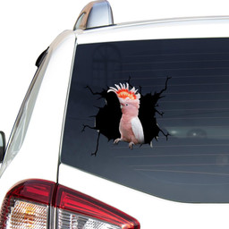 Parrot Crack Decor Funny For Mother Day.Png Car Vinyl Decal Sticker Window Decals, Peel and Stick Wall Decals