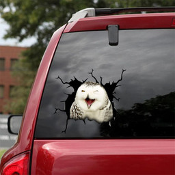 Owl Crack Window Decal Custom 3d Car Decal Vinyl Aesthetic Decal Funny Stickers Cute Gift Ideas Ae10834 Car Vinyl Decal Sticker Window Decals, Peel and Stick Wall Decals 18x18IN 2PCS