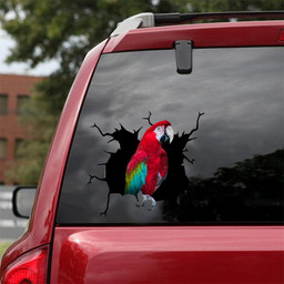 Parrot Crack Sticker Humor Stickers Anniversary Gift For Wife Car Vinyl Decal Sticker Window Decals, Peel and Stick Wall Decals 18x18IN 2PCS