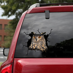 Owl Crack Window Decal Custom 3d Car Decal Vinyl Aesthetic Decal Funny Stickers Cute Gift Ideas Ae10835 Car Vinyl Decal Sticker Window Decals, Peel and Stick Wall Decals 18x18IN 2PCS