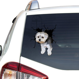 Morkie Crack Window Decal Custom 3d Car Decal Vinyl Aesthetic Decal Funny Stickers Home Decor Gift Ideas Car Vinyl Decal Sticker Window Decals, Peel and Stick Wall Decals
