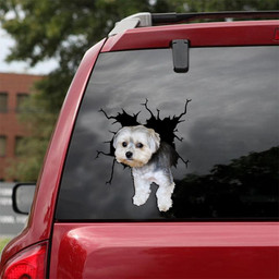 Morkie Crack Window Decal Custom 3d Car Decal Vinyl Aesthetic Decal Funny Stickers Home Decor Gift Ideas Car Vinyl Decal Sticker Window Decals, Peel and Stick Wall Decals 18x18IN 2PCS
