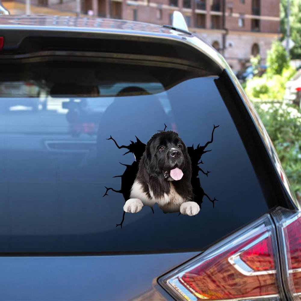 Newfoundland Crack Window Decal Custom 3d Car Decal Vinyl Aesthetic Decal Funny Stickers Cute Gift Ideas Ae10802 Car Vinyl Decal Sticker Window Decals, Peel and Stick Wall Decals 12x12IN 2PCS