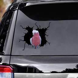 Parrot Crack Window Decal Custom 3d Car Decal Vinyl Aesthetic Decal Funny Stickers Cute Gift Ideas Ae10858 Car Vinyl Decal Sticker Window Decals, Peel and Stick Wall Decals