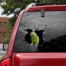 Parrot Crack Sticker Your Cute Christmas Gifts 2022 Car Vinyl Decal Sticker Window Decals, Peel and Stick Wall Decals 18x18IN 2PCS