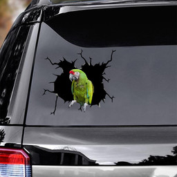 Parrot Crack Sticker Your Cute Christmas Gifts 2022 Car Vinyl Decal Sticker Window Decals, Peel and Stick Wall Decals