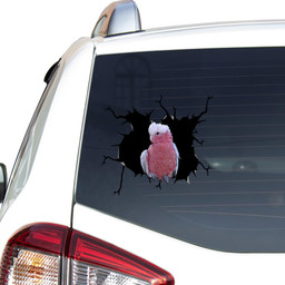 Parrot Crack Window Decal Custom 3d Car Decal Vinyl Aesthetic Decal Funny Stickers Cute Gift Ideas Ae10858 Car Vinyl Decal Sticker Window Decals, Peel and Stick Wall Decals