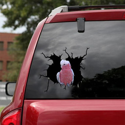 Parrot Crack Window Decal Custom 3d Car Decal Vinyl Aesthetic Decal Funny Stickers Cute Gift Ideas Ae10858 Car Vinyl Decal Sticker Window Decals, Peel and Stick Wall Decals 18x18IN 2PCS