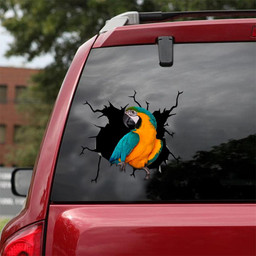 Parrot Crack Window Decal Custom 3d Car Decal Vinyl Aesthetic Decal Funny Stickers Cute Gift Ideas Ae10867 Car Vinyl Decal Sticker Window Decals, Peel and Stick Wall Decals 18x18IN 2PCS