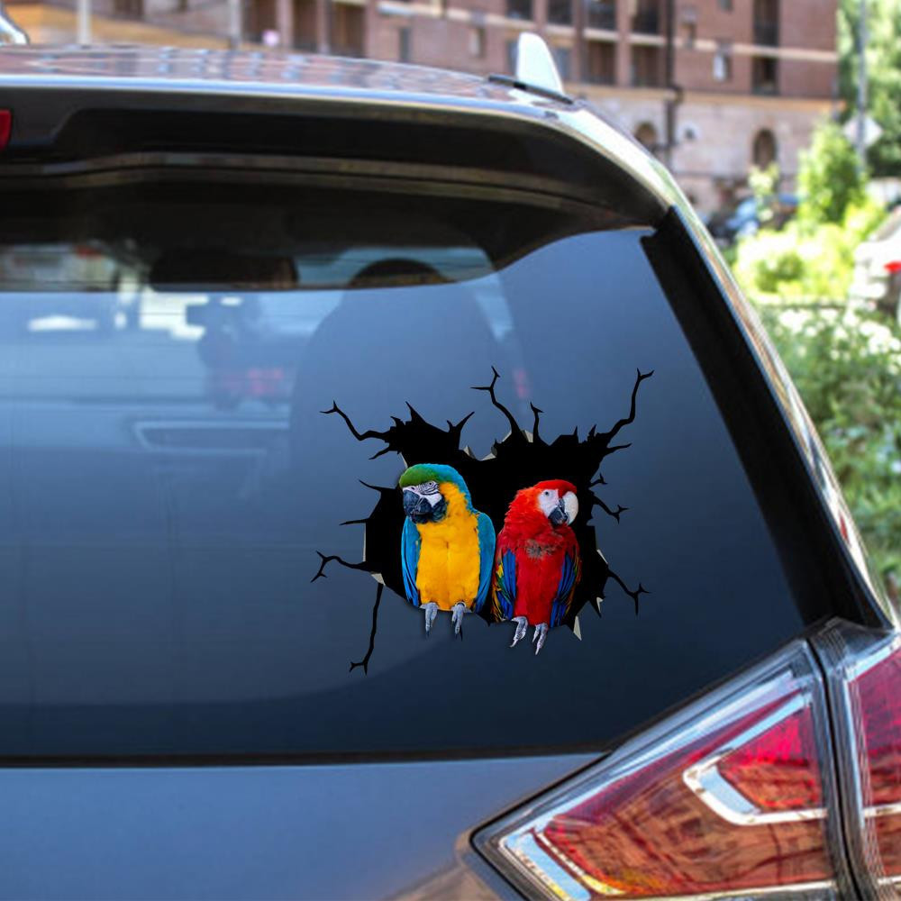 Parrot Crack Window Decal Custom 3d Car Decal Vinyl Aesthetic Decal Funny Stickers Cute Gift Ideas Ae10863 Car Vinyl Decal Sticker Window Decals, Peel and Stick Wall Decals 12x12IN 2PCS
