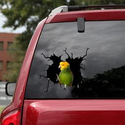 Parrot Crack Window Decal Custom 3d Car Decal Vinyl Aesthetic Decal Funny Stickers Cute Gift Ideas Ae10864 Car Vinyl Decal Sticker Window Decals, Peel and Stick Wall Decals 18x18IN 2PCS