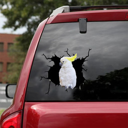 Parrot Crack Window Decal Custom 3d Car Decal Vinyl Aesthetic Decal Funny Stickers Cute Gift Ideas Ae10868 Car Vinyl Decal Sticker Window Decals, Peel and Stick Wall Decals 18x18IN 2PCS