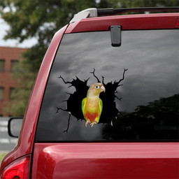 Parrot Crack Window Decal Custom 3d Car Decal Vinyl Aesthetic Decal Funny Stickers Cute Gift Ideas Ae10866 Car Vinyl Decal Sticker Window Decals, Peel and Stick Wall Decals 18x18IN 2PCS