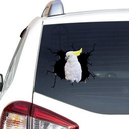 Parrot Crack Window Decal Custom 3d Car Decal Vinyl Aesthetic Decal Funny Stickers Cute Gift Ideas Ae10868 Car Vinyl Decal Sticker Window Decals, Peel and Stick Wall Decals