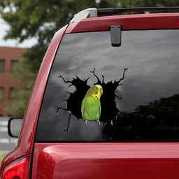 Parrot Crack Window Decal Custom 3d Car Decal Vinyl Aesthetic Decal Funny Stickers Cute Gift Ideas Ae10873 Car Vinyl Decal Sticker Window Decals, Peel and Stick Wall Decals 18x18IN 2PCS