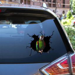 Parrot Crack Window Decal Custom 3d Car Decal Vinyl Aesthetic Decal Funny Stickers Cute Gift Ideas Ae10874 Car Vinyl Decal Sticker Window Decals, Peel and Stick Wall Decals 12x12IN 2PCS